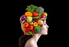 Discover The MIND Diet 101: The Best Diet for Your Brain